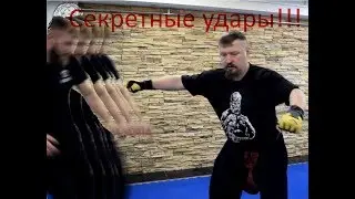 Удары хвысь и сполох
