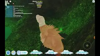 Показываю, как я играю не на съёмках. (Feather Family в Roblox)#3