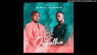 Aja Boy - Rei do Orgulho (feat. Cleyton David) [Prod. The Visow Beats] [AUDIO]
