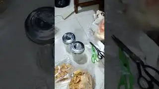 Susun kue untuk lebaran. Tim ga bikin kue✌#temenngoding #timelapse #idulfitri1444h #idulfitri