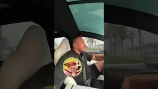 Почему мем-коины - это скам?!