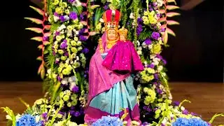 Feast of our Lady❤ #2024 #tamizhsavions #ourladyofvelankanni