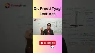 दिमाग में सेरिबैलम क्या होता है
