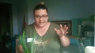 НАТАЛЬЯ ГУБАРЕВА И ТЁЩА АХРИПОВНА🤣ОБЗОР
