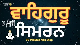 Waheguru Simran | 30 Minute Soulful Naam Jaap | Singh Series Gurbani