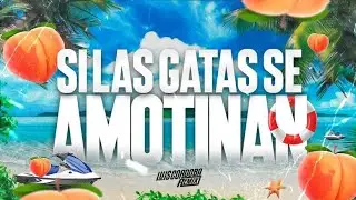 SI LA GATA SE AMOTINAN BRASILERO 🥵🥵 LUIS CORDOBA REMIX.  (Verano 2025)