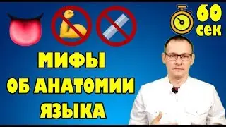 МИФЫ ОБ ЯЗЫКЕ. Тело человека за 60 секунд