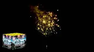 Lecana - DIVJINA 36s