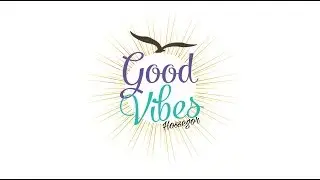 Good Vibes Hossegor Part 2