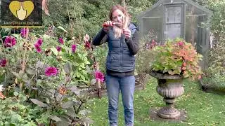 How to take a Hardwood Cutting with Katie Rushworth