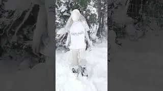 anthr0morph