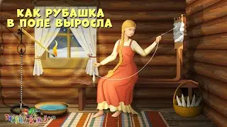 КАК РУБАШКА В ПОЛЕ ВЫРОСЛА познавательный рассказ для детей