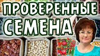 ПРОВЕРЕННЫЕ семена, ХОРОШИЙ урожай.