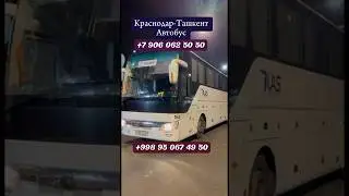 Краснодар Ташкент автобус