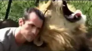 Lion King Kevin Richardson