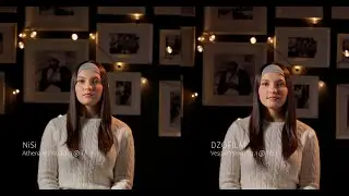 DZOFILM Vespid Vs NiSi Athena (side-by-side comparison)