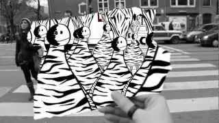 Zebra's crossing the street ( PLAYGROUND )
