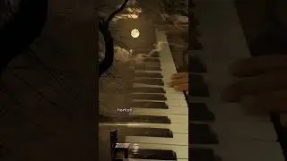 hayırlı bayramlar diliyorum