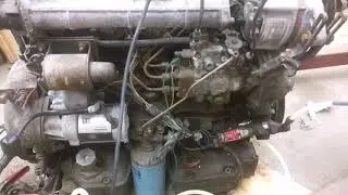 Thermo king Isuzu diesel engine first start.