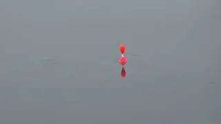 Самый азартный момент на рыбалке - это поклевка рыбы. Что творит там Карась. Как поймать карася?