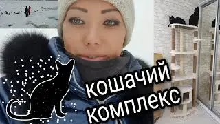 3.193 ДЯДЯ КОТ-КОШАЧИЙ КОМПЛЕКС🐈‍⬛🐈‍⬛🐈ПРОГУЛКА НА ЛЫЖАХ⛷❄☃️