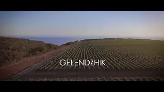Аэросъемка в Геленджике. Виноградники на круче