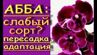 Ох!
