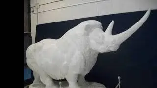 Музей Дарвина в Москве!