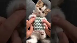 Cuteness overload 😻🥰