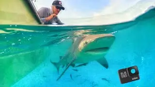 GoPro Fell In Shark Infested Waters! (Rescued By a Girl)