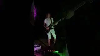 Концерт в лесу