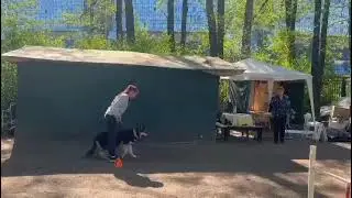 Бравада из НД