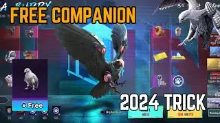 BGMI COMPANION TRICK | GET FALCON FREE IN BGMI | SHIBA INU & KITTEN FREE IN BGMI TRICK | BGMI PET
