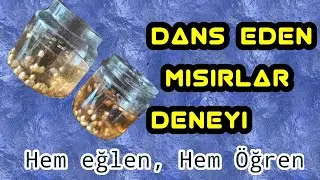 Dans Eden Mısırlar Deney Etkinliği
