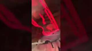 Собака геймер🤣🤣