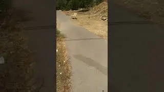Открываем дороги