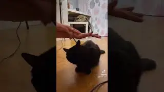 Как вам такая визуальная репрезентация психотерапии? #психолог #психология #психотерапия