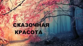 Лоскутная корзинка для рукоделия.(2022г)