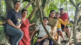 Green Tree Resort Athirappilly
