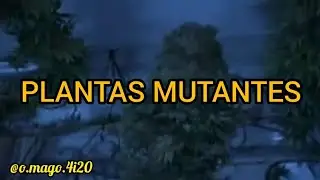 GENETICAS MUTANTES!!