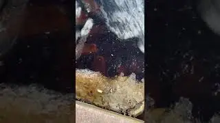 IMG 0766