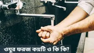 ওযুর ফরজ কয়টি ও কি কি