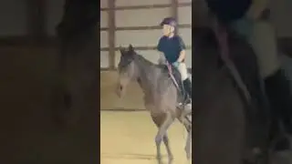8yo kid riding bridleless