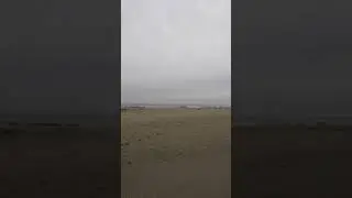 Пляж п. Янтарный Калининградская область