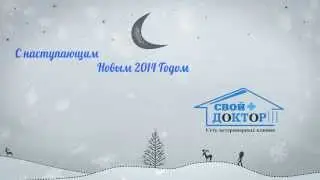 Ветеринарная клиника 