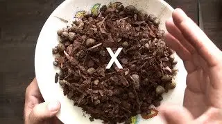 THIS KILLS ORCHID ROOTS, NEVER plant ORCHIDS in this GROUND