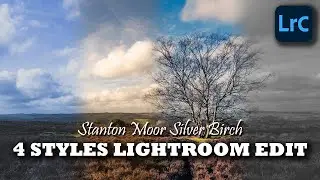Stanton Moor Silver Birch 4 Styles | Lightroom Edit