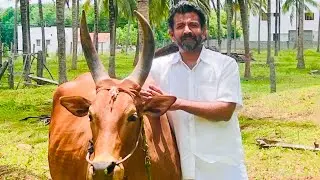 நம்ம பொள்ளாச்சி | Niyaz Baseer