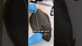 Japanese precision 🐟🔪
