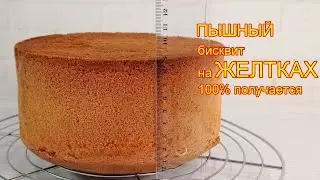 Where should permanent egg yolks go? Perfect chiffon sponge cake on egg yolk base!  hand mixer